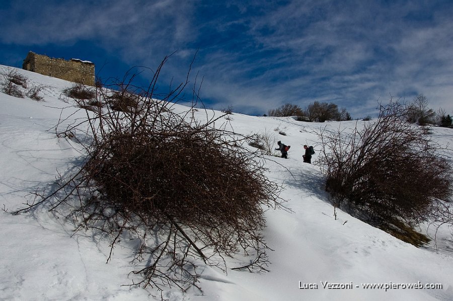 03-SI SALE TRA CESPUGLI DI ROSA SELVATICA.jpg